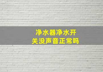 净水器净水开关没声音正常吗