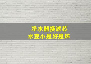 净水器换滤芯水变小是好是坏