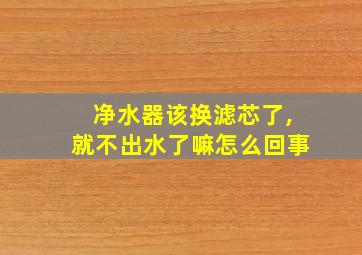 净水器该换滤芯了,就不出水了嘛怎么回事