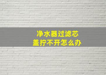 净水器过滤芯盖拧不开怎么办