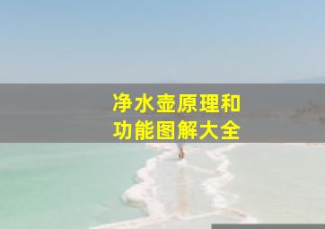 净水壶原理和功能图解大全