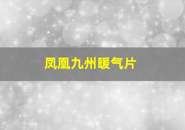 凤凰九州暖气片