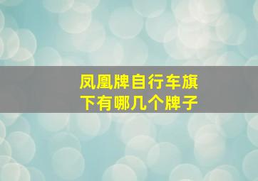 凤凰牌自行车旗下有哪几个牌子