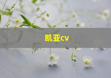 凯亚cv