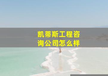 凯蒂斯工程咨询公司怎么样