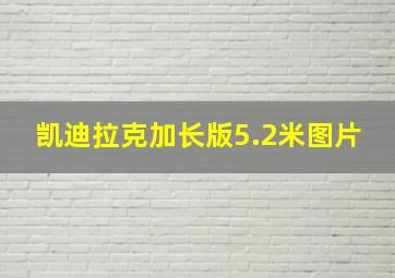 凯迪拉克加长版5.2米图片