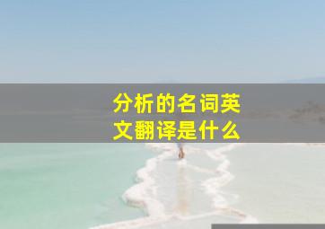 分析的名词英文翻译是什么