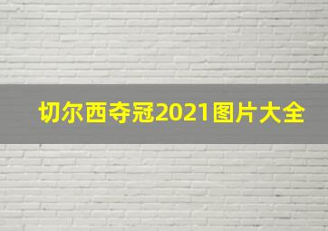 切尔西夺冠2021图片大全