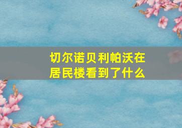 切尔诺贝利帕沃在居民楼看到了什么