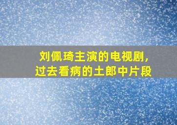 刘佩琦主演的电视剧,过去看病的土郎中片段