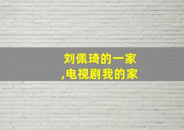 刘佩琦的一家,电视剧我的家