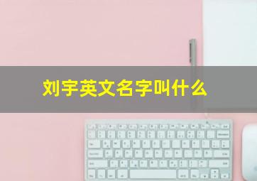 刘宇英文名字叫什么