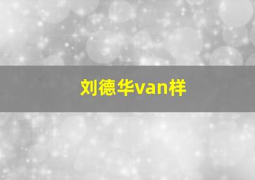 刘德华van样