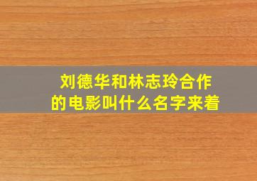 刘德华和林志玲合作的电影叫什么名字来着