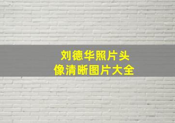 刘德华照片头像清晰图片大全