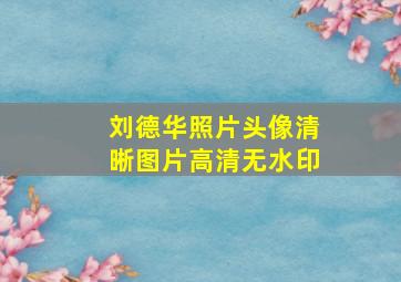 刘德华照片头像清晰图片高清无水印