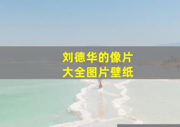 刘德华的像片大全图片壁纸