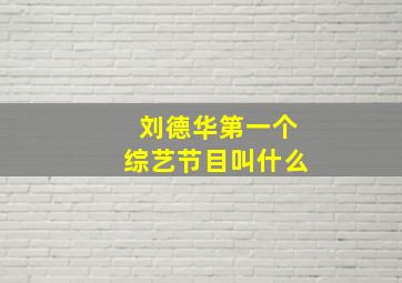 刘德华第一个综艺节目叫什么