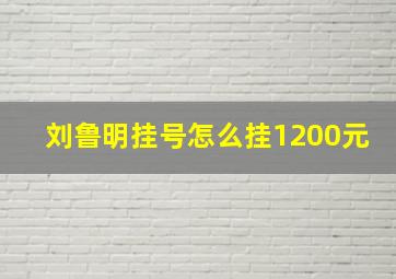 刘鲁明挂号怎么挂1200元