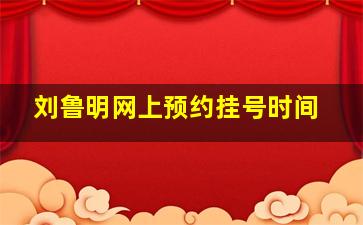 刘鲁明网上预约挂号时间