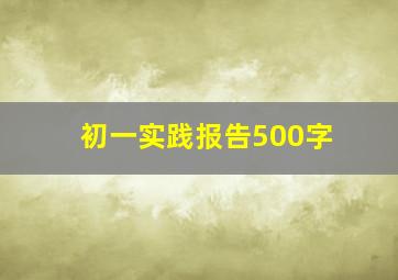 初一实践报告500字