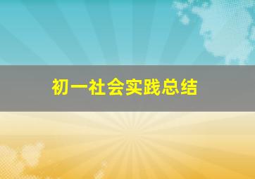 初一社会实践总结