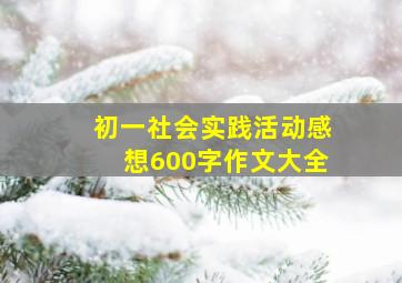 初一社会实践活动感想600字作文大全