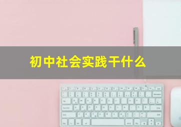 初中社会实践干什么