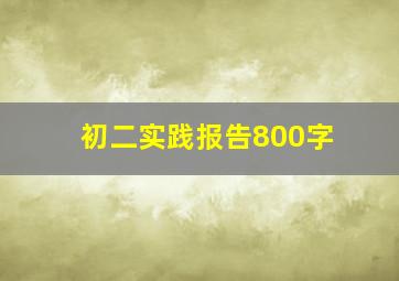 初二实践报告800字