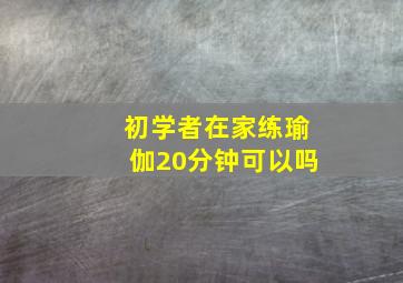 初学者在家练瑜伽20分钟可以吗