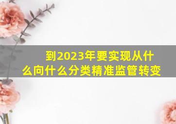 到2023年要实现从什么向什么分类精准监管转变