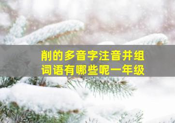 削的多音字注音并组词语有哪些呢一年级