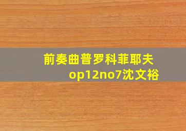 前奏曲普罗科菲耶夫op12no7沈文裕