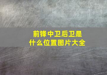 前锋中卫后卫是什么位置图片大全