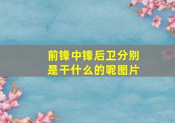 前锋中锋后卫分别是干什么的呢图片