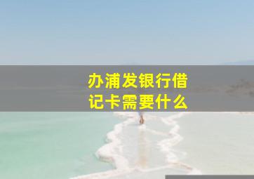 办浦发银行借记卡需要什么