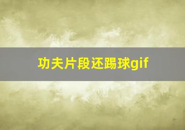 功夫片段还踢球gif