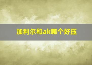 加利尔和ak哪个好压