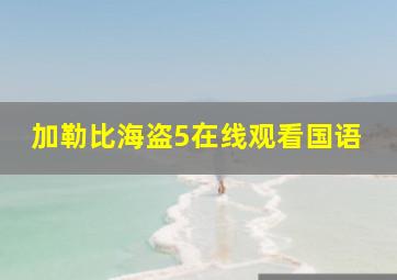 加勒比海盗5在线观看国语