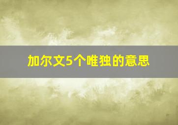 加尔文5个唯独的意思