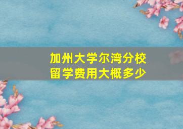 加州大学尔湾分校留学费用大概多少