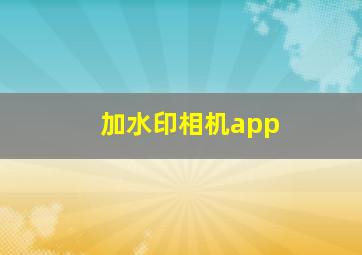 加水印相机app