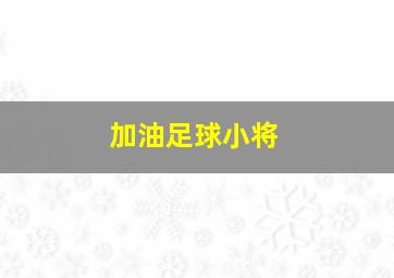 加油足球小将