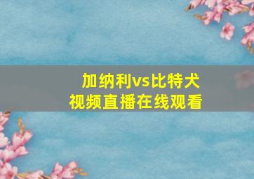 加纳利vs比特犬视频直播在线观看