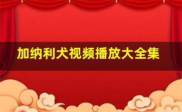 加纳利犬视频播放大全集