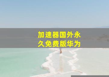 加速器国外永久免费版华为