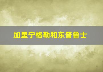 加里宁格勒和东普鲁士