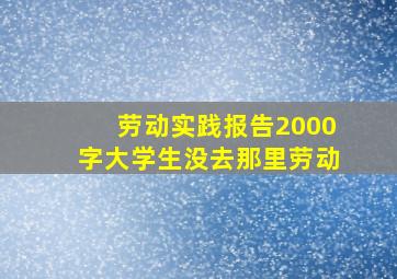 劳动实践报告2000字大学生没去那里劳动