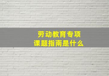 劳动教育专项课题指南是什么