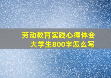 劳动教育实践心得体会大学生800字怎么写